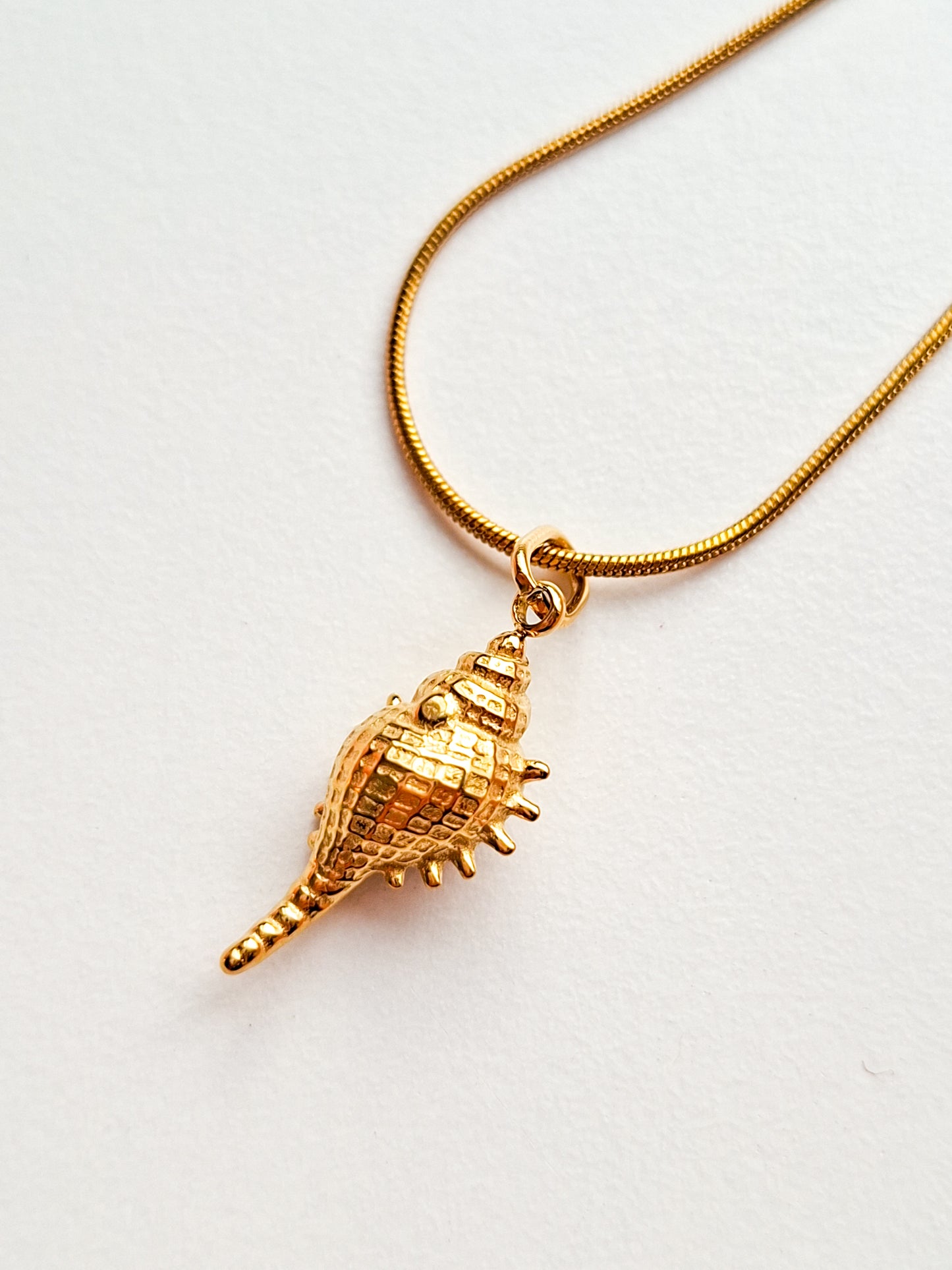 Bedel + ketting ☀ shell of gold