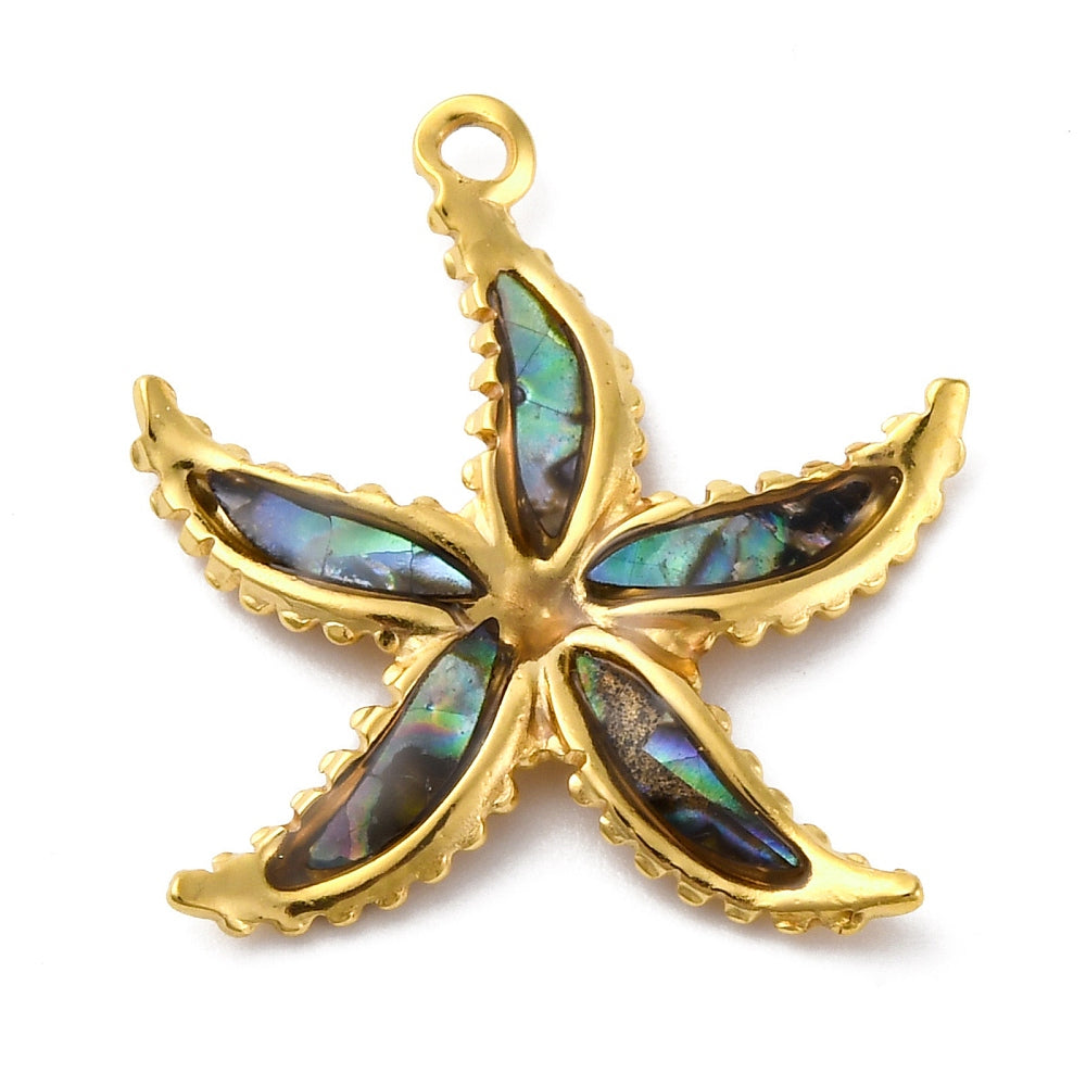 Bedel + ketting ☀ seastar abalone