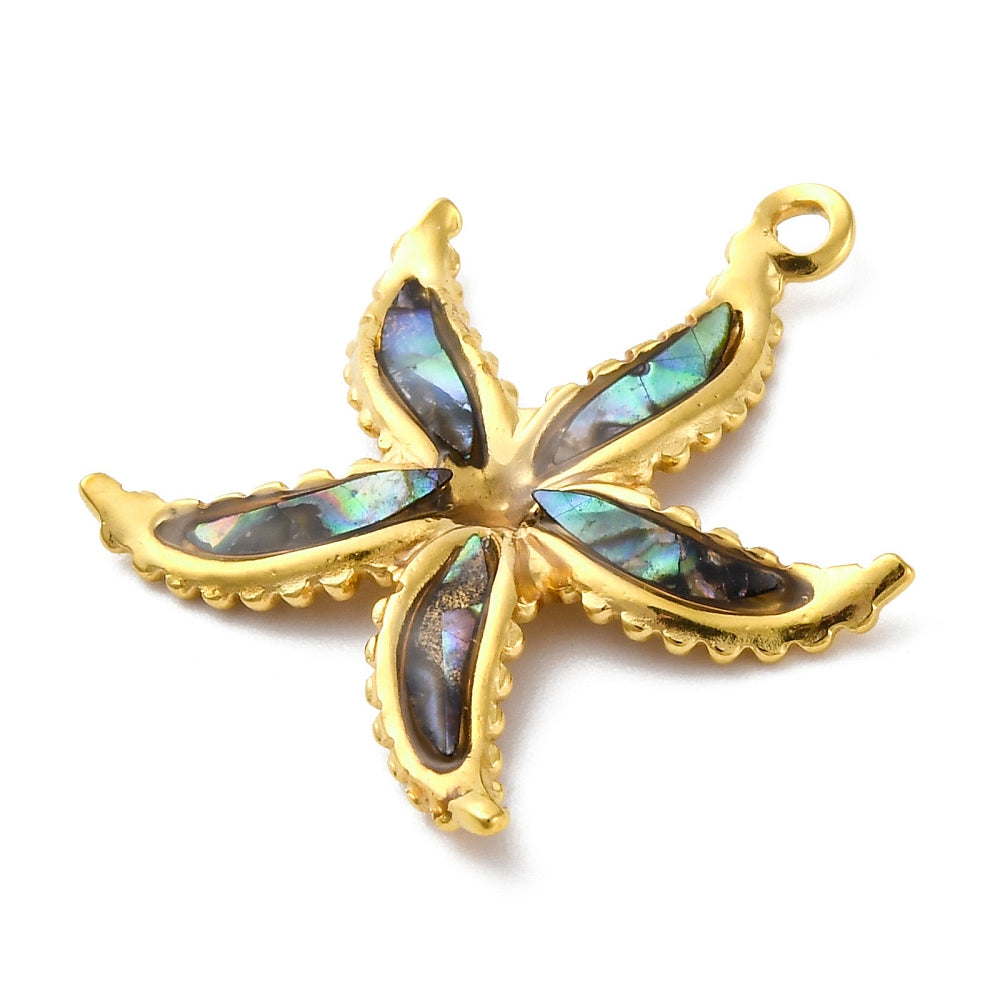 Bedel + ketting ☀ seastar abalone
