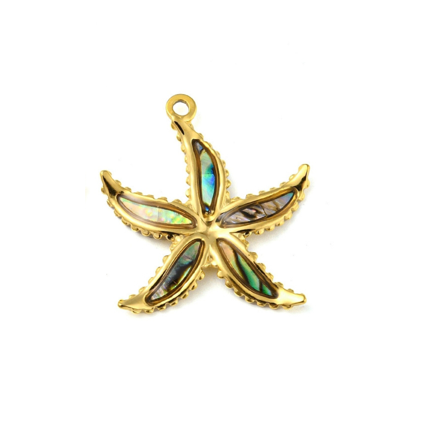 Bedel + ketting ☀ seastar abalone